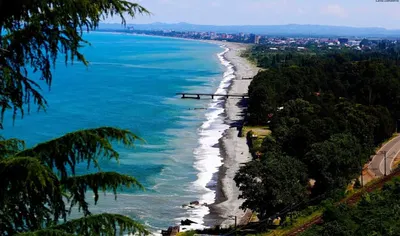Chakvi