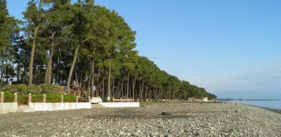 Grigoleti