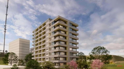 Agora Ul Demetre Tavdadebuli 60