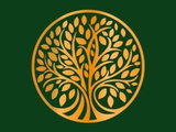 DG Invest Plus