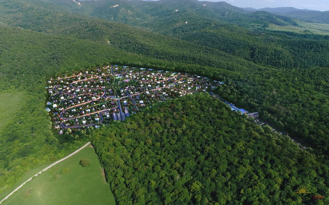 Shinwood