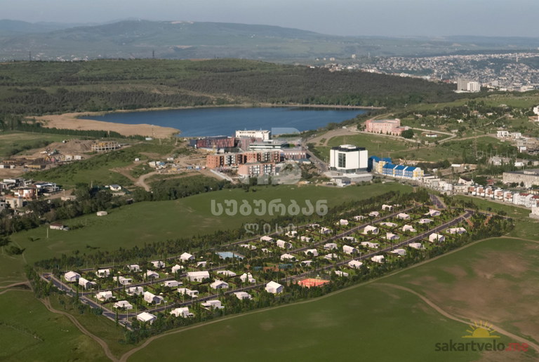 Suburban Lisi